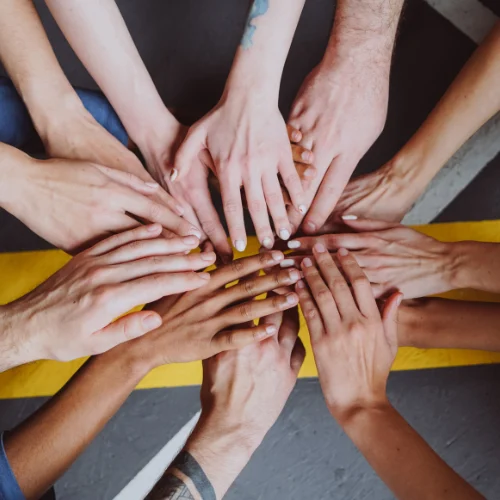 Mains d'une équipe qui collabore, symbolisant la solidarité entre les professionnels de lutte des nuisibles.